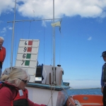 2016 Hospital Cup & Cockles Ladies Races_ - 12