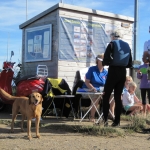 Blakeney Regatta 2016 (1)