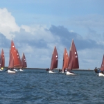 2017.09.17 Cockles-4