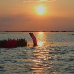 July 2018 - POINT (1)