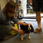 June 2018 - Edward's dog