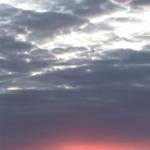 F1133897-B7EE-437D-A9F4-20ECC301A18B