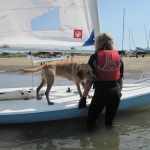 Patsy-Dog-3-of-6
