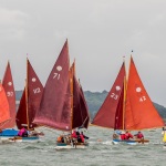 6f27542752-COCKLES-REGATTA