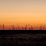 20250711_Esward-Allen